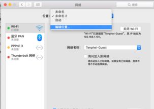 苹果电脑无法上网的常见原因与解决方案